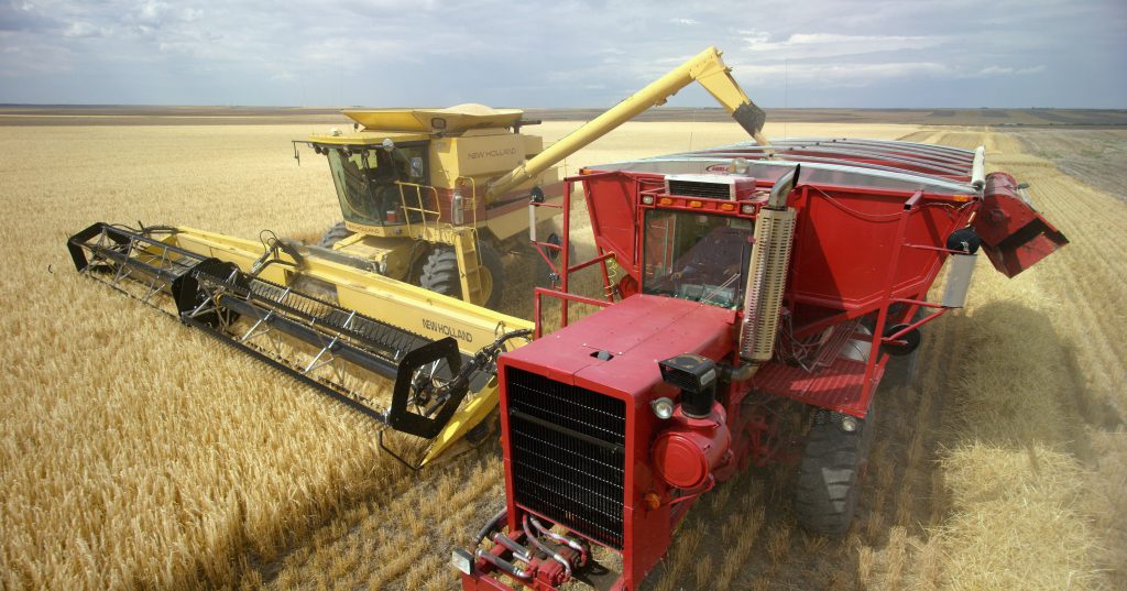 Farm to Barley