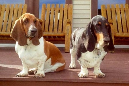 2 Basset Brewery