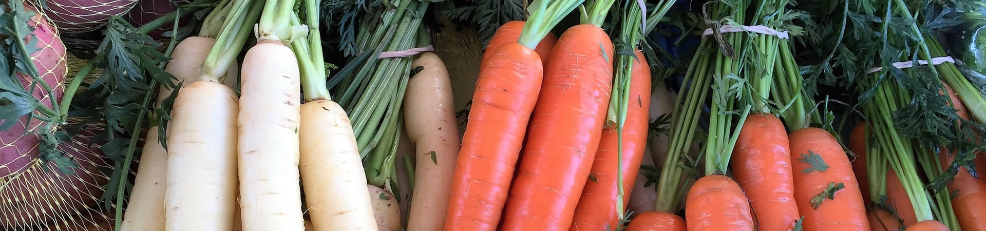 Farmers Markets