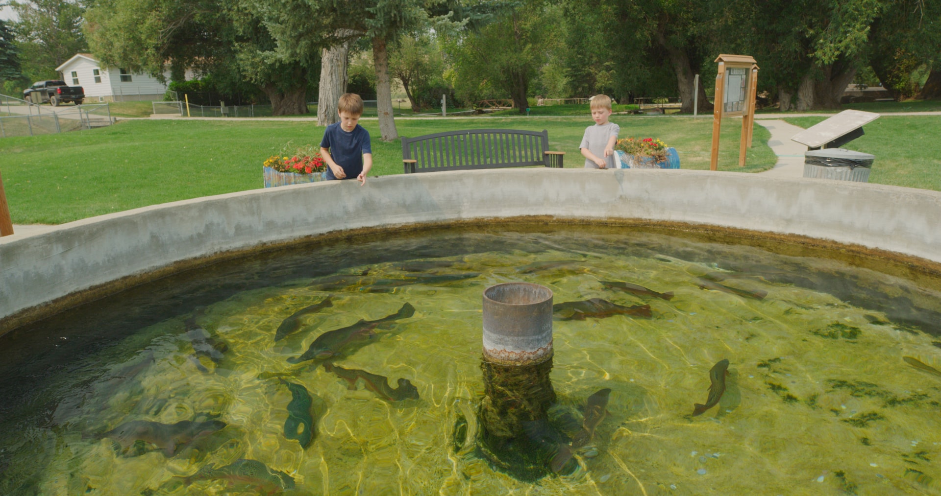 Fish Hatcheries