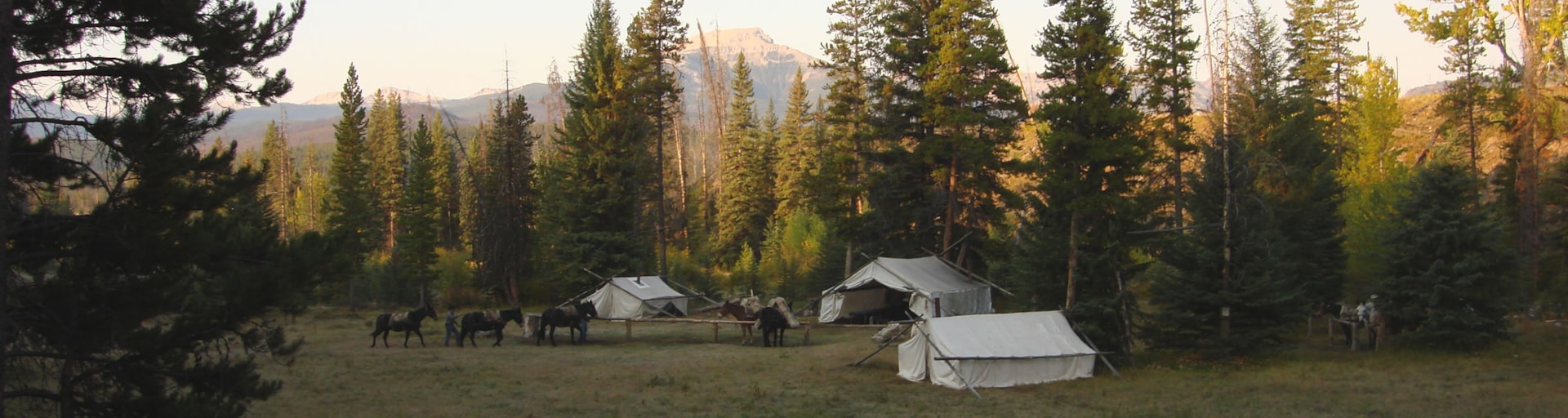 Outfitters & Guides