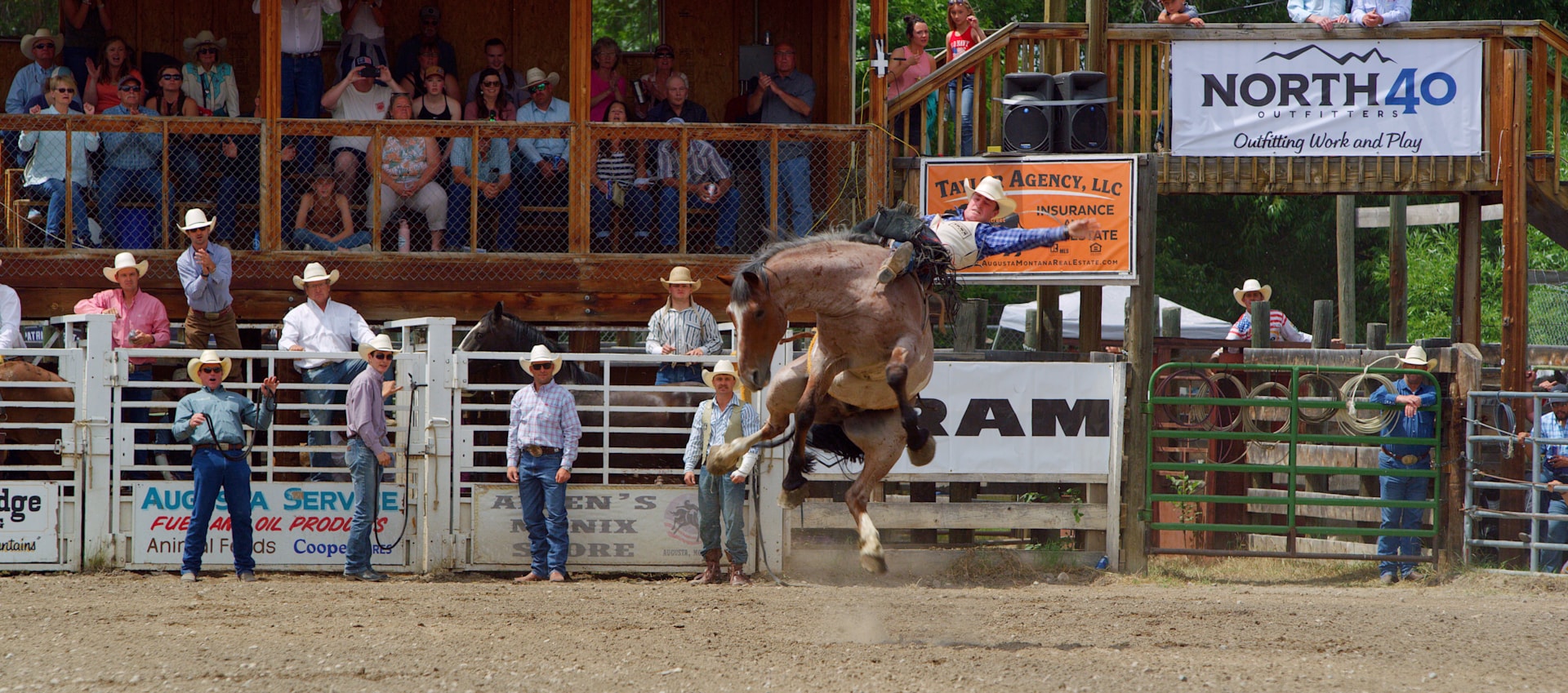 Rodeos